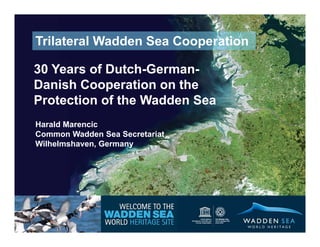 Trilateral Wadden Sea Cooperation

30 Years of Dutch-German-
Danish Cooperation on the
Protection of the Wadden Sea
Harald Marencic
Common Wadden Sea Secretariat
Wilhelmshaven, Germany




                                    1
 