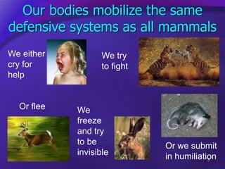 Our bodies mobilize the same
defensive systems as all mammals
We either
cry for
help
We
freeze
and try
to be
invisible
Or ...