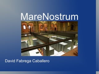 MareNostrum David Fabrega Caballero 