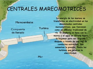 La energía mareomotriz podría aportar unos  635.000 gigavatios/hora (GW/h) anuales, equivalentes a unos 1.045.000.000 barriles de petróleo  ó 392.000.000 toneladas de carbón/año. 