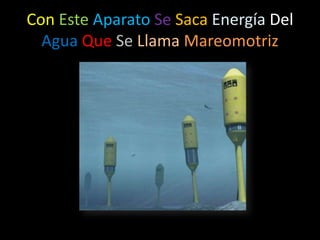 Mareomotriz | PPT