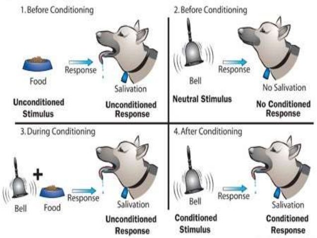 behaviorism