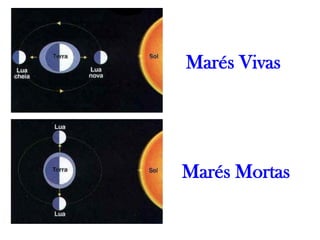 Marés Vivas




Marés Mortas
 