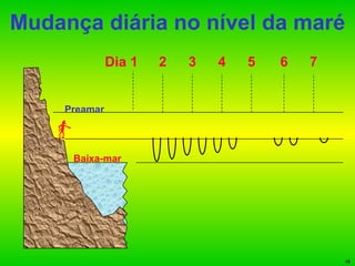 Mudança diária no nível da maré Baixa-mar Preamar Dia 1 2 3 4 5 6 7 