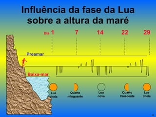 Influência da fase da Lua sobre a altura da maré Baixa-mar Preamar Dia  1 7 14 22 29 Lua cheia Lua nova Quarto minguante Quarto Crescente Lua cheia 