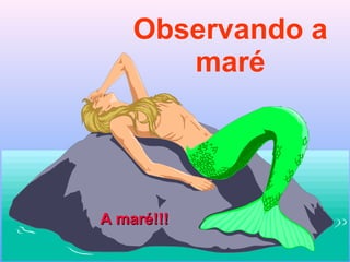 Observando a maré A maré!!! 