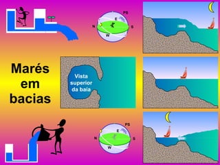 Marés em bacias Vista superior da baía PS N S E W PS N S E W 