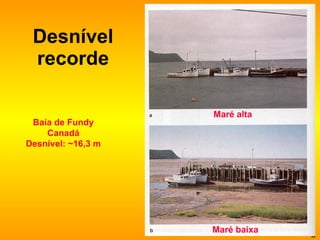 Desnível recorde Baía de Fundy Canadá Desnível: ~16,3 m Maré alta Maré baixa 