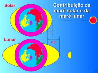 Contribuição da maré solar e da maré lunar 1 Solar 2,5 Lunar 