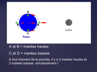 A et B = marées hautes
C et D = marées basses
A tout moment de la journée, il y a 2 marées hautes et
2 marées basses simultanément !
 