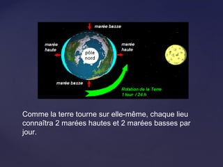 Comme la terre tourne sur elle-même, chaque lieu
connaîtra 2 marées hautes et 2 marées basses par
jour.
 
