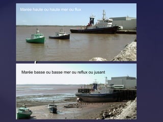 {{
Marée haute ou haute mer ou flux
Marée basse ou basse mer ou reflux ou jusant
 