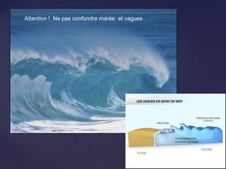 Attention ! Ne pas confondre marée et vagues
 