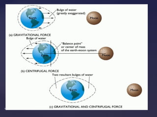 {{
http://terre.haplosciences.com
 