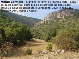 Monte Carmelo - Significa "jardim" ou "campo fértil". Local
do duelo espiritual entre Elias e os profetas de Baal. Elias
provou o Deus de Israel era o verdadeiro Deus, e não Baal.
Também Davi, Nabal e Abigail
 