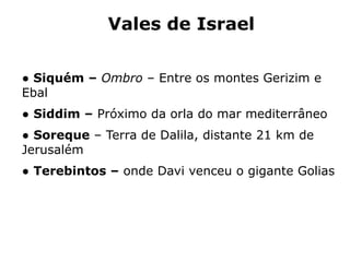 Vales de Israel
● Siquém – Ombro – Entre os montes Gerizim e
Ebal
● Siddim – Próximo da orla do mar mediterrâneo
● Soreque – Terra de Dalila, distante 21 km de
Jerusalém
● Terebintos – onde Davi venceu o gigante Golias
 