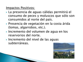 Impactos Positivos:La presencia de aguas cálidas permitirá el consumo de peces y moluscos que sólo son consumidos al norte del país.Presencia de vegetación en la costa árida (lomas, algarrobos, etc.).Incremento del volumen de agua en los reservorios del norte.Incremento del nivel de las aguas subterráneas.