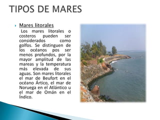 TIPOS DE MARESMares litoralesLos mares litorales o costeros pueden ser considerados como golfos. Se distinguen de los océanos pos ser menos profundos, por la mayor amplitud de las mareas y la temperatura más elevada de sus aguas. Son mares litorales el mar de Beufort en el océano Ártico, el mar de Noruega en el Atlántico u el mar de Omán en el Índico.