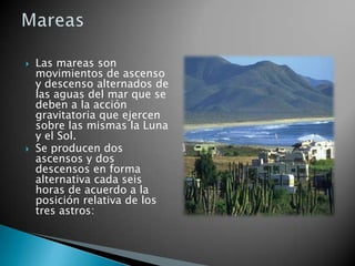 Las mareas son movimientos de ascenso y descenso alternados de las aguas del mar que se deben a la acción gravitatoria que ejercen sobre las mismas la Luna y el Sol.Se producen dos ascensos y dos descensos en forma alternativa cada seis horas de acuerdo a la posición relativa de los tres astros: Mareas