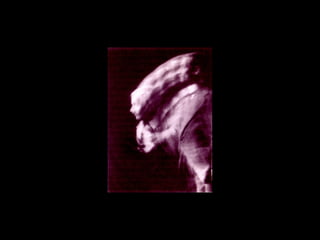 Change position 1911 