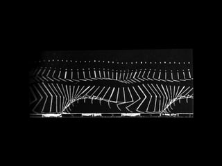 Marey man runs lines 