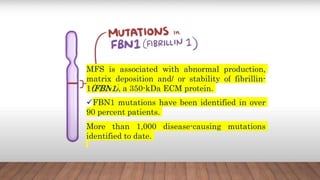 MFS is associated with abnormal production,
matrix deposition and/ or stability of fibrillin-
1(FBN1), a 350-kDa ECM protein.
FBN1 mutations have been identified in over
90 percent patients.
More than 1,000 disease-causing mutations
identified to date.
 