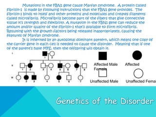 Mutations in the FBN1 gene cause Marfan syndrome. A protein called
fibrillin-1 is made by following instructions that the FBN1 gene provides. The
fibrillin-1 binds to itself and other proteins and molecules and creates filaments
called microfibrils. Microfibrils become part of the fibers that give connective
tissue it’s strength and flexibility. A mutation in the FBN1 gene can reduce the
amount and/or quality of the fibrillin-1 that’s available to form microfibrils.
Resulting with the growth factors being released inappropriately, causing the
features of Marfan syndrome.
           It is inherited by an autosomal dominant pattern, which means one copy of
the carrier gene in each cell is needed to cause the disorder. Meaning that if one
of the parent’s have MFS, then the offspring will obtain it.



                                                  Affected Male     Affected
                                                  Female


                                               Unaffected Male      Unaffected Femal
 