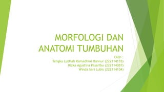 MORFOLOGI DAN
ANATOMI TUMBUHAN
Oleh :
Tengku Lutfiah Ramadhini Hannur (222114155)
Rizka Agustina Pasaribu (222114087)
Winda Sari Lubis (222114104)
 
