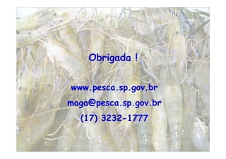 8


999:        : :        :
   ;          : :          :
 <+ % = $ . $ . >+ % % %
 