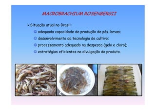 & '&    = #       & " %! '%&<

"   ?9           '   .
                 2         2       ?9        2A B    ( C
         ( (/                                ( C
    2        /                      2        3             7C
         :                     (        ?9       2     1
 