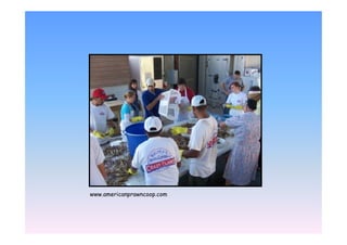 EEE1 /   2   E   21   /
 