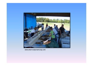 EEE1 /   2   E   21   /
 