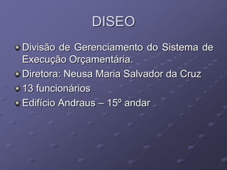 DISEO
Divisão de Gerenciamento do Sistema de
Execução Orçamentária.
Diretora: Neusa Maria Salvador da Cruz
13 funcionários
Edifício Andraus – 15º andar
 