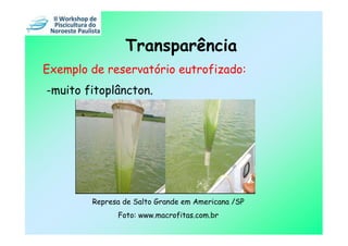 Transparência
Exemplo de reservatório eutrofizado:
-muito fitoplâncton.




        Represa de Salto Grande em Americana /SP
              Foto: www.macrofitas.com.br
 