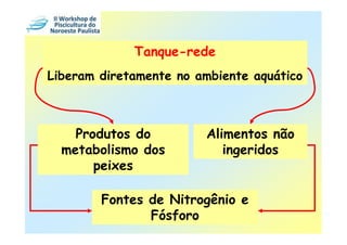 Tanque-rede
Liberam diretamente no ambiente aquático



    Produtos do         Alimentos não
  metabolismo dos          ingeridos
       peixes

        Fontes de Nitrogênio e
               Fósforo
 