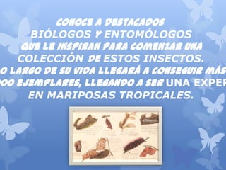 Conoceadestacados
BIÓLOGOS y ENTOMÓLOGOS
queleinspiranparacomenzaruna
COLECCIÓN de ESTOS INSECTOS.
Alolargodesuvidallegaráaconseguirmásde
22.000ejemplares,llegandoaserUNA EXPERTA
EN MARIPOSAS TROPICALES.
 