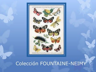 Colección FOUNTAINE-NEIMY
 
