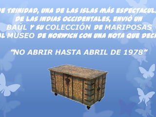 DesdeTrinidad,unadelasislasmásespectaculares
delasIndiasOccidentales,envióun
BAÚLysuCOLECCIÓN de MARIPOSAS
alMUSEOdeNORWICHconunanotaquedecía:
“NO ABRIR HASTA ABRIL DE 1978”
 