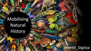 Mobilising
Natural
History
@NHM_Digitise
 