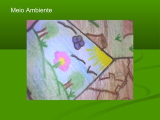 Meio Ambiente
 