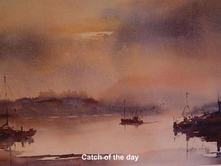 Catch of the day
 