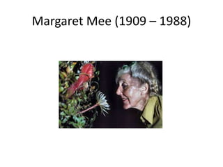 Margaret Mee (1909 – 1988)

 