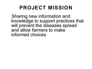 Napier Stunt and Smut Resistance Project in Kenya: achievements and outcomes