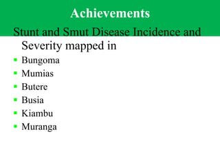 Napier Stunt and Smut Resistance Project in Kenya: achievements and outcomes