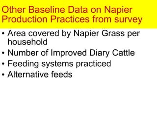 Napier Stunt and Smut Resistance Project in Kenya: achievements and outcomes