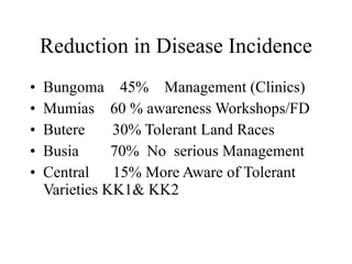 Napier Stunt and Smut Resistance Project in Kenya: achievements and outcomes
