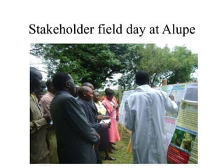 Napier Stunt and Smut Resistance Project in Kenya: achievements and outcomes