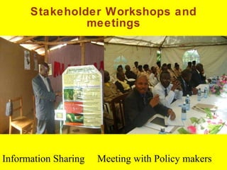 Napier Stunt and Smut Resistance Project in Kenya: achievements and outcomes