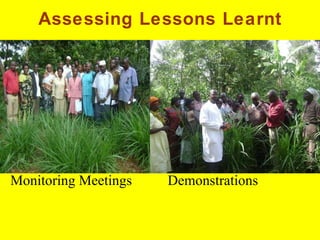 Napier Stunt and Smut Resistance Project in Kenya: achievements and outcomes