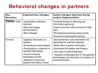 Napier Stunt and Smut Resistance Project in Kenya: achievements and outcomes